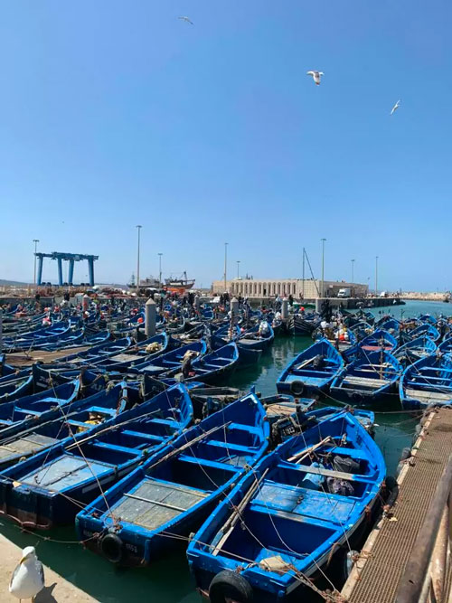 essaouira